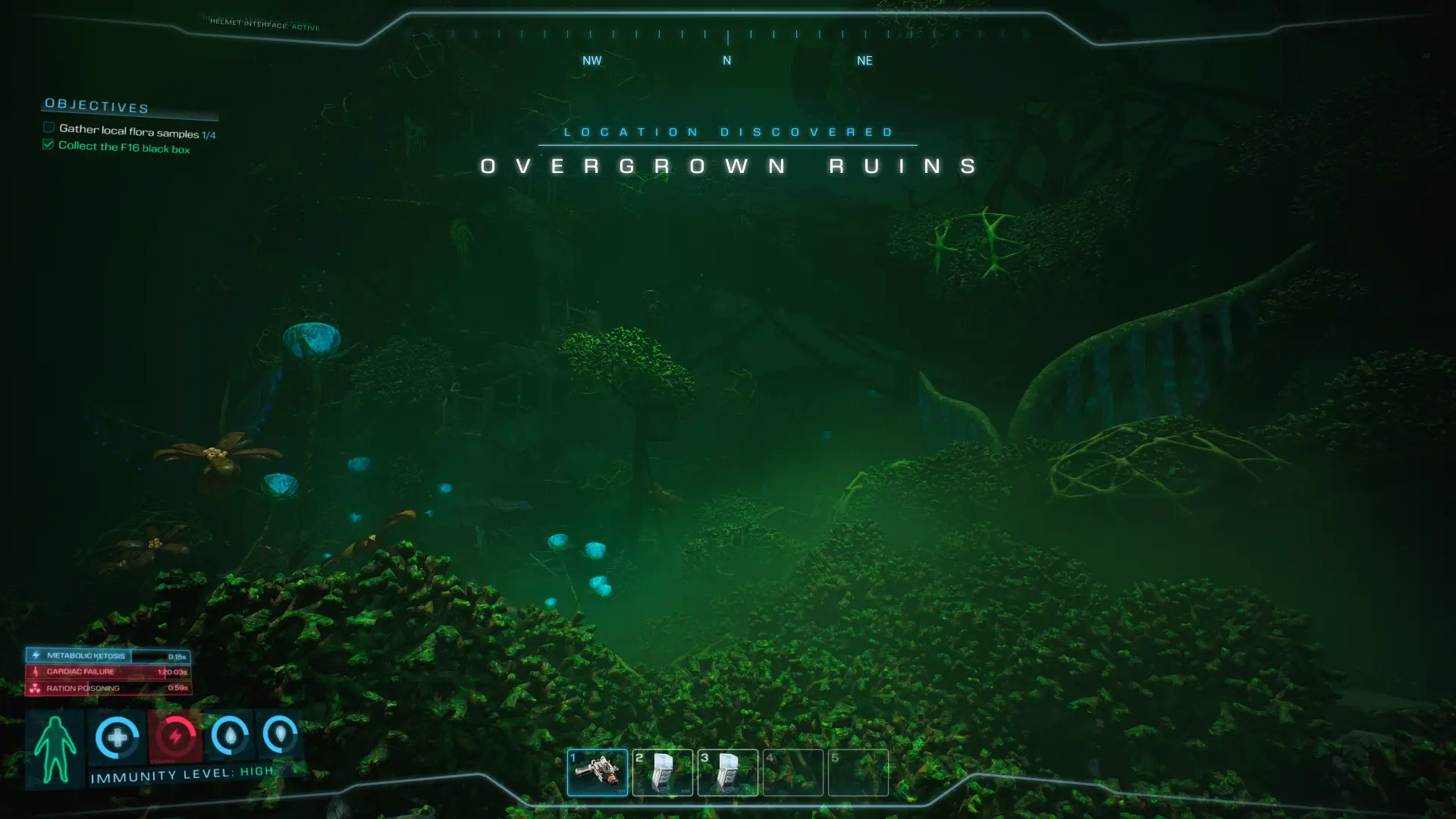 HELMET HUD